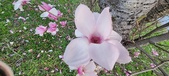 Enlarge photo 104