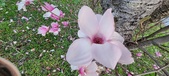 Enlarge photo 103