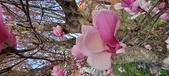 Enlarge photo 102