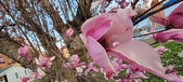 Enlarge photo 106