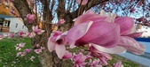 Enlarge photo 107