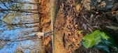 Enlarge photo 126