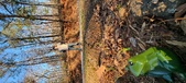 Enlarge photo 127