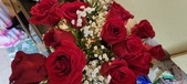 Enlarge photo 134