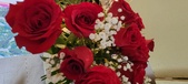 Enlarge photo 138