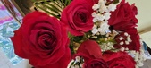 Enlarge photo 135
