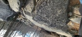 Enlarge photo 361