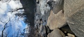 Enlarge photo 366