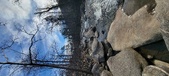Enlarge photo 367