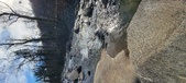 Enlarge photo 371