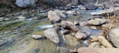 Enlarge photo 370