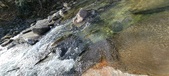 Enlarge photo 375