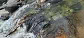 Enlarge photo 374
