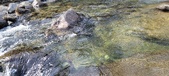 Enlarge photo 373