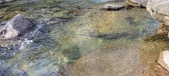Enlarge photo 372