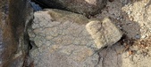 Enlarge photo 379