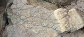 Enlarge photo 378