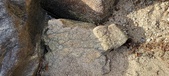 Enlarge photo 383