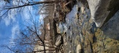 Enlarge photo 387