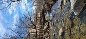 Enlarge photo 386