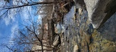 Enlarge photo 385