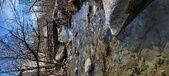 Enlarge photo 390