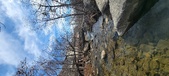 Enlarge photo 388