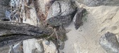 Enlarge photo 398