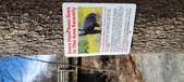 Enlarge photo 405