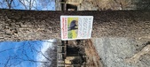 Enlarge photo 404