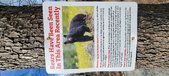 Enlarge photo 408