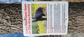 Enlarge photo 411