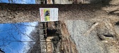 Enlarge photo 413