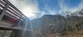 Enlarge photo 423