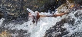 Enlarge photo 447