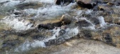Enlarge photo 453