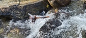 Enlarge photo 452