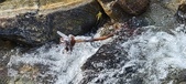 Enlarge photo 451