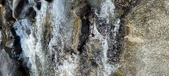 Enlarge photo 465