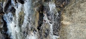 Enlarge photo 464