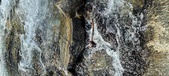 Enlarge photo 463