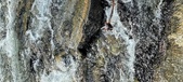 Enlarge photo 469