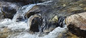 Enlarge photo 468