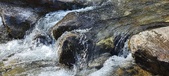 Enlarge photo 467