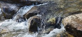 Enlarge photo 474
