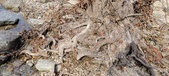 Enlarge photo 472