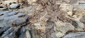Enlarge photo 471