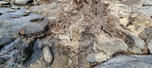 Enlarge photo 478