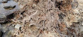 Enlarge photo 477
