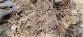 Enlarge photo 476